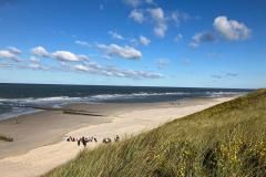 TNB_HundJWH_Wangerooge2024_Panorama