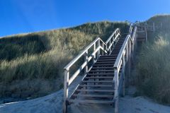 TNB_HundJWH_Wangerooge2024_Treppe